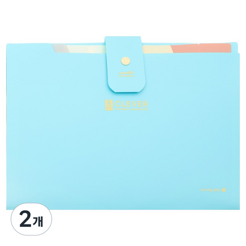 모닝글로리 클레버 8분류 간편 도큐멘트 파일, 민트, 2개