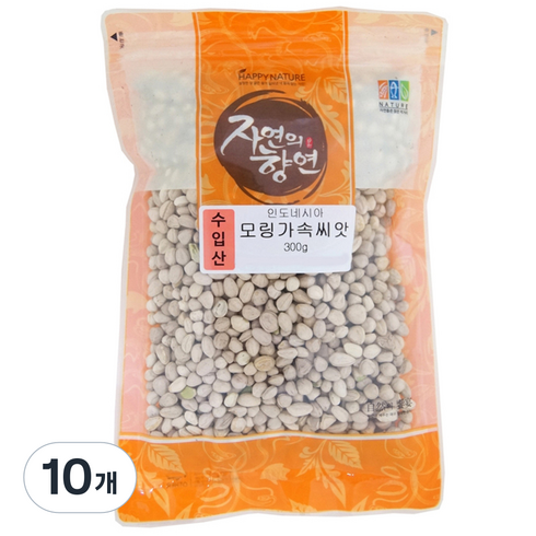 자연의 향연 모링가속씨앗, 300g, 10개
