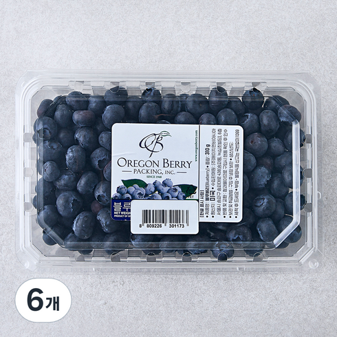 H&B 미국산 블루베리, 310g, 6개