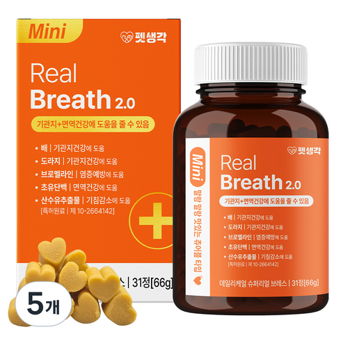 펫생각 강아지 데일리케얼 영양제, 31정, 호흡기/기관지, 5개