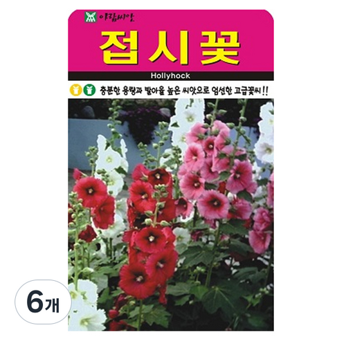 아람씨앗 접시꽃 씨앗, 6개