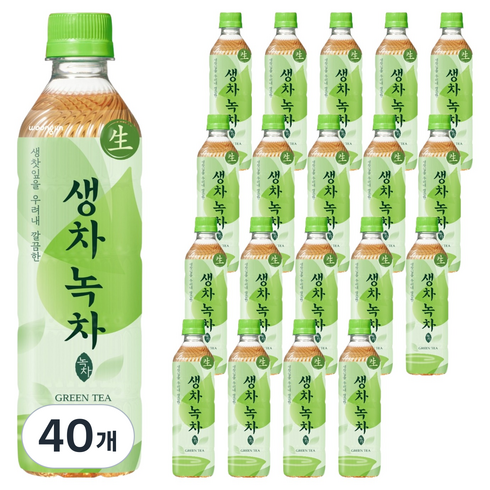 웅진 생차 녹차, 500ml, 40개
