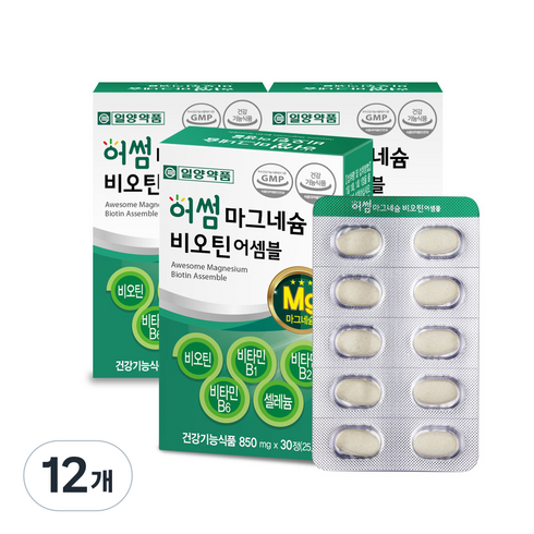 일양약품 어썸 마그네슘 비오틴 어셈블 25.5g, 30정, 12개