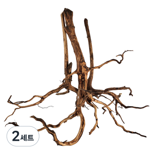 모비딕 키시레움 유목 3종 세트, 2세트