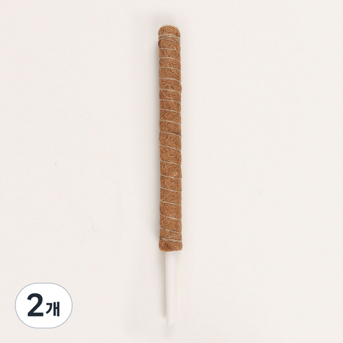 플레노 코코봉 식물지지대 플라스틱 일반형 60cm, 2개