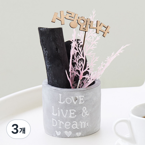 아스파시아 러브시멘트 산호 숯화분 핑크, 3개