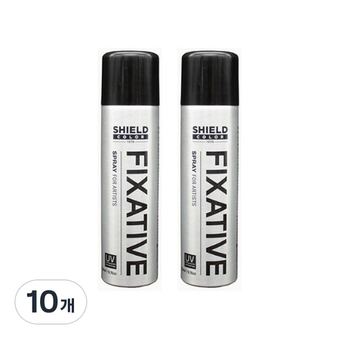 쉴드 미술용 픽사티브, 150ml, 10개