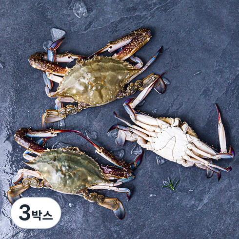 피시원 신진도 산지직송 이력추적 가을 햇꽃게, 1kg(3~5미), 3박스