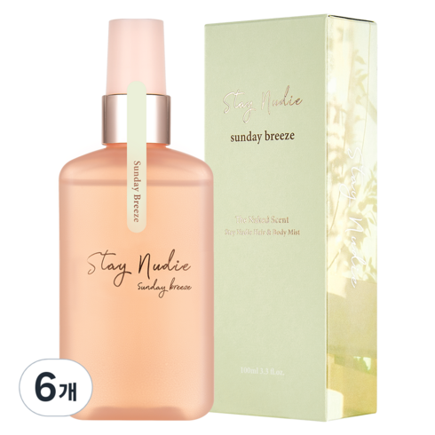 바디홀릭 스테이누디 헤어 앤 바디미스트 선데이 브리즈, 100ml, 6개