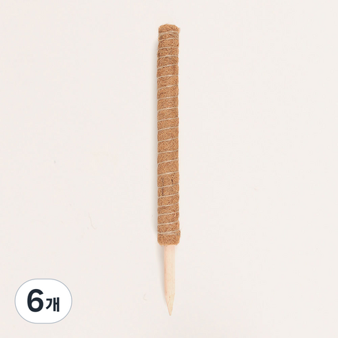 플레노 코코봉 식물지지대 우드 일반형 60cm, 6개