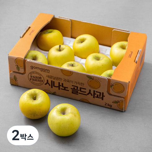 곰곰 시나노골드 사과, 2kg(7~10입), 2개