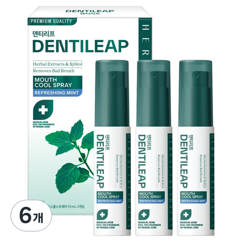 2080 덴티리프 마우스 쿨 구강스프레이 3p, 30ml, 6개