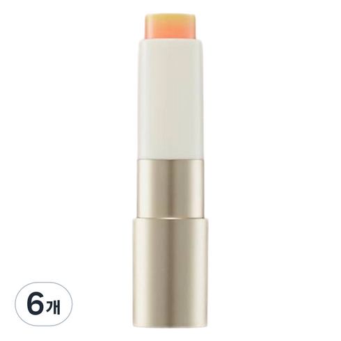 맥퀸뉴욕 배러 댄 키스 립밤, 포올, 3.5g, 6개