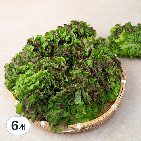 적상추 국내산, 1kg, 6개