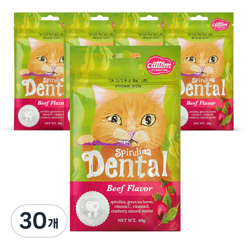 캣템 스피루리나 고양이 덴탈 간식, 비프, 60g, 30개