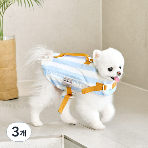 울리 강아지 우리 댕댕이 구명조끼, 블루, 3개