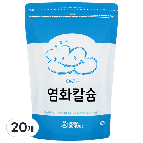 소다스쿨 염화칼슘 제습제 리필, 1kg, 20개