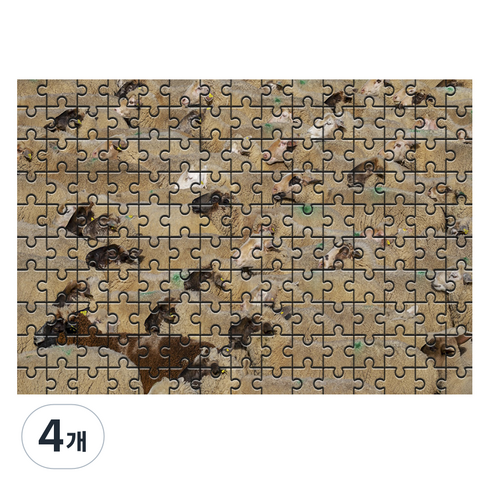 다모아 시험관퍼즐 양의무리들, 150피스, 혼합 색상, 4개
