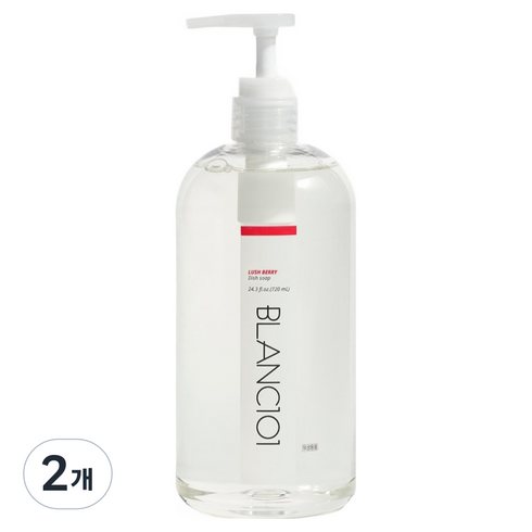 블랑101 주방세제 러쉬베리, 2개, 720ml