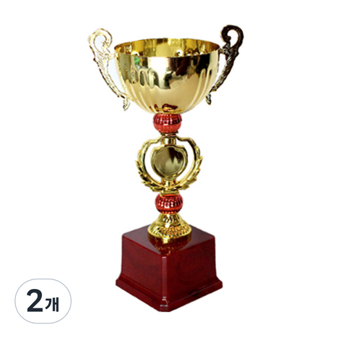 스투피드 대회용 우승 시상 트로피 골드 BIG컵 28cm, 혼합색상, 2개