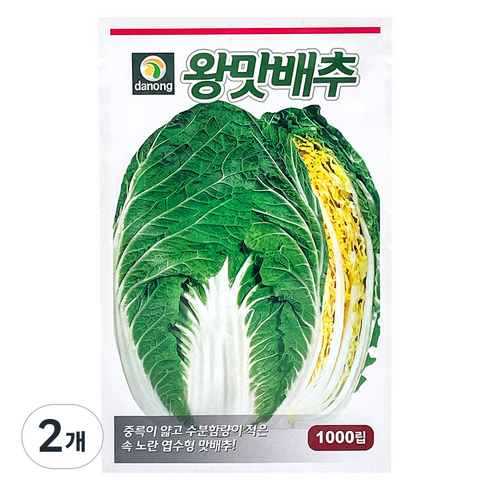 다농 왕맛배추 씨앗 1000립, 2개