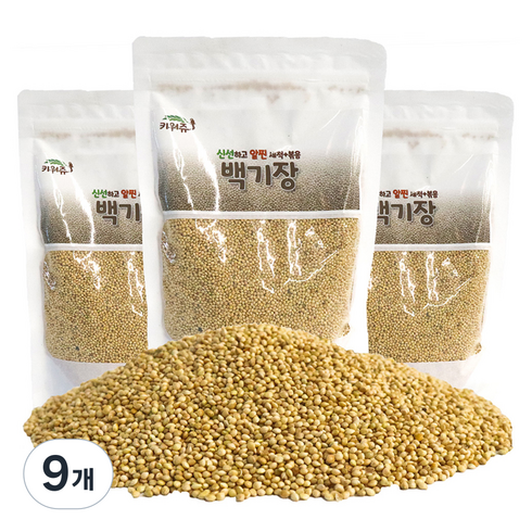 키워쥬 신선하고 알찐 세척 볶음 백기장, 500g, 9개