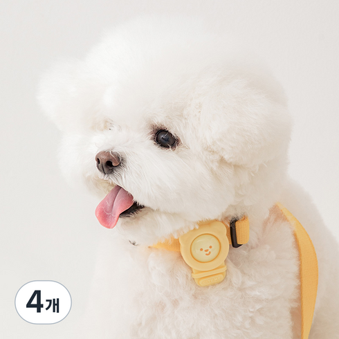 바잇미 강아지 헤잇미 밴드, 레몬, 2ml, 4개