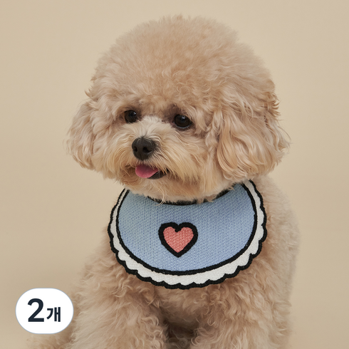 도그아이 강아지 고양이 케이프 스카프, 블루하트, 2개