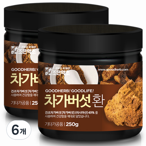 굿허브 프리미엄 차가버섯환, 250g, 6개