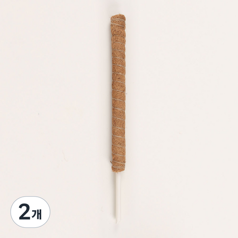 플레노 코코봉 식물지지대 플라스틱 슬림 60cm, 2개
