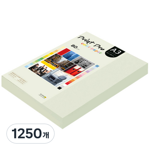 종이문화 프린트 프로 칼라 복사용지 No 18 라이트그레이 80g, A3, 1250개