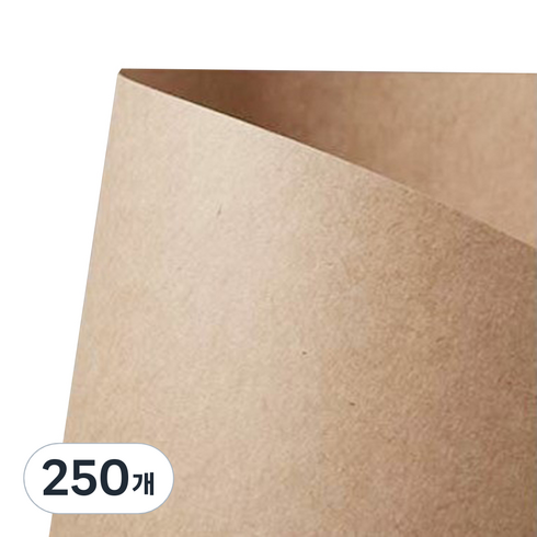 원진 소포지 크라프트지 100g, 250개