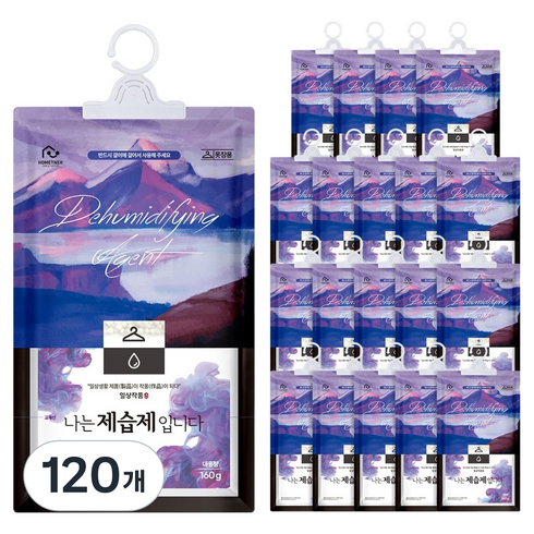 홈트너 나는 제습제 입니다 옷장용, 160g, 120개