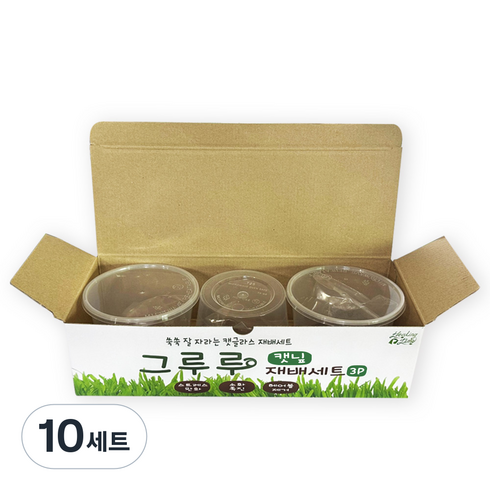 힐링타임 그루루 캣글라스 재배세트 3p, 캣닢, 10세트