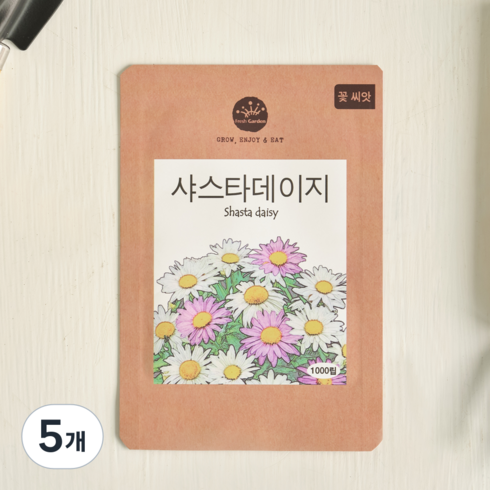 프레시가든 꽃씨앗 샤스타데이지, 5개