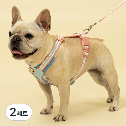준성 반려동물 솜사탕 메쉬 하네스 + 리드줄 세트, 크리미블루, 2세트