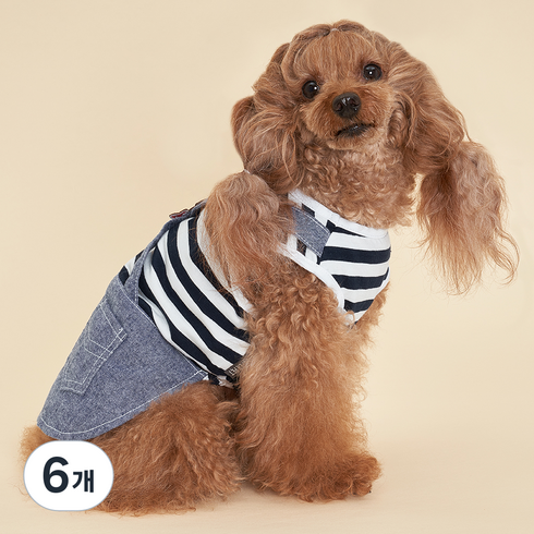 도그아이 반려견 홍홍 청치마, 검정, 6개
