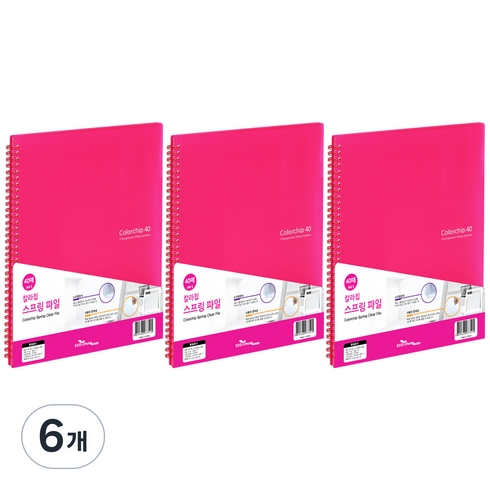 에코청운 칼라칩 스프링화일 40매 A4, 분홍, 6개