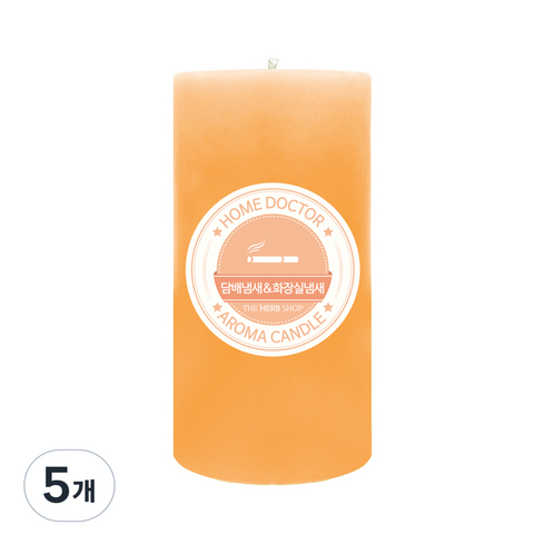 더허브샵 홈닥터 아로마 캔들, 담배냄새&화장실냄새, 570g, 5개
