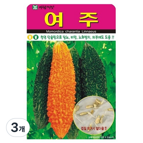 아람종묘 여주 씨앗 10p, 3개