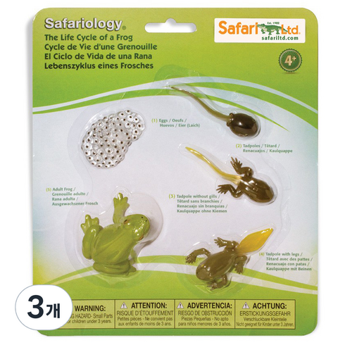 사파리엘티디 피규어 269129 개구리성장과정 Life Cycle of a Frog, 3개