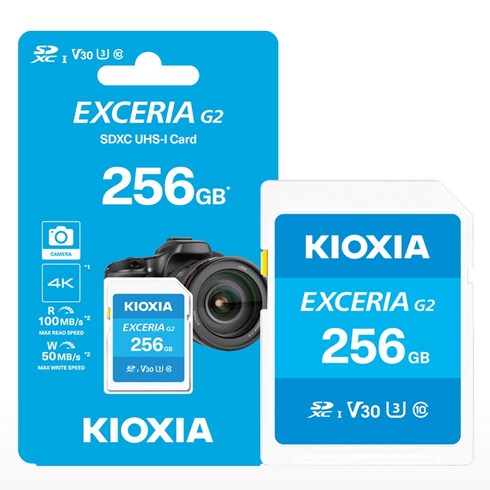 키오시아 EXCERIA G2 SD카드, 1개, 256GB