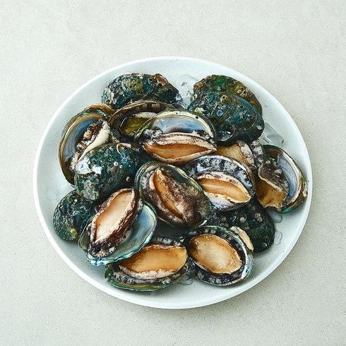 어부심 국내산 활전복 중 (냉장), 1개, 1kg 내외(17~20미)