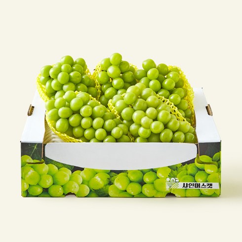 과일진심 샤인머스캣, 4kg, 1개