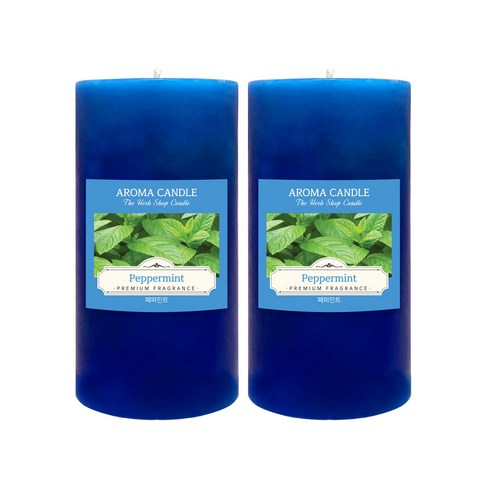 더허브샵 아로마 캔들, 페퍼민트, 570g, 2개