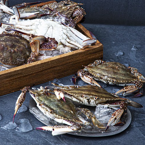피시원 신진도 산지직송 가을 자망 햇꽃게, 3kg(9~12미), 1개