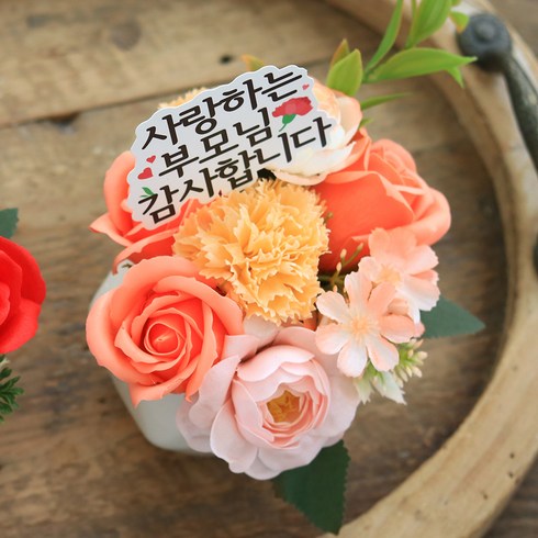센트바스켓 러브포유 미니 센터피스 카네이션 비누꽃 화분, 코랄, 1개