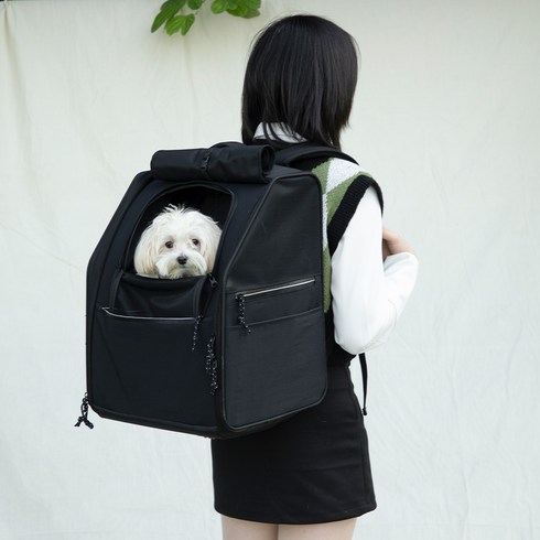 하이드림 강아지 고양이 스테디 트래블 백팩, 블랙, 1개