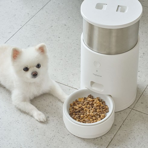 헤이홈 강아지 고양이 사료 무게측정 스마트 자동 급식기 Care 2.8L, 1.9kg, 화이트, 1개