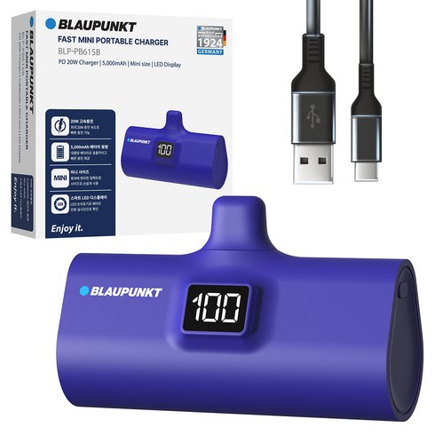 블라우풍트 LED 도킹형 고속충전 보조배터리 5000mAh, BLUE, BLP-PB615B